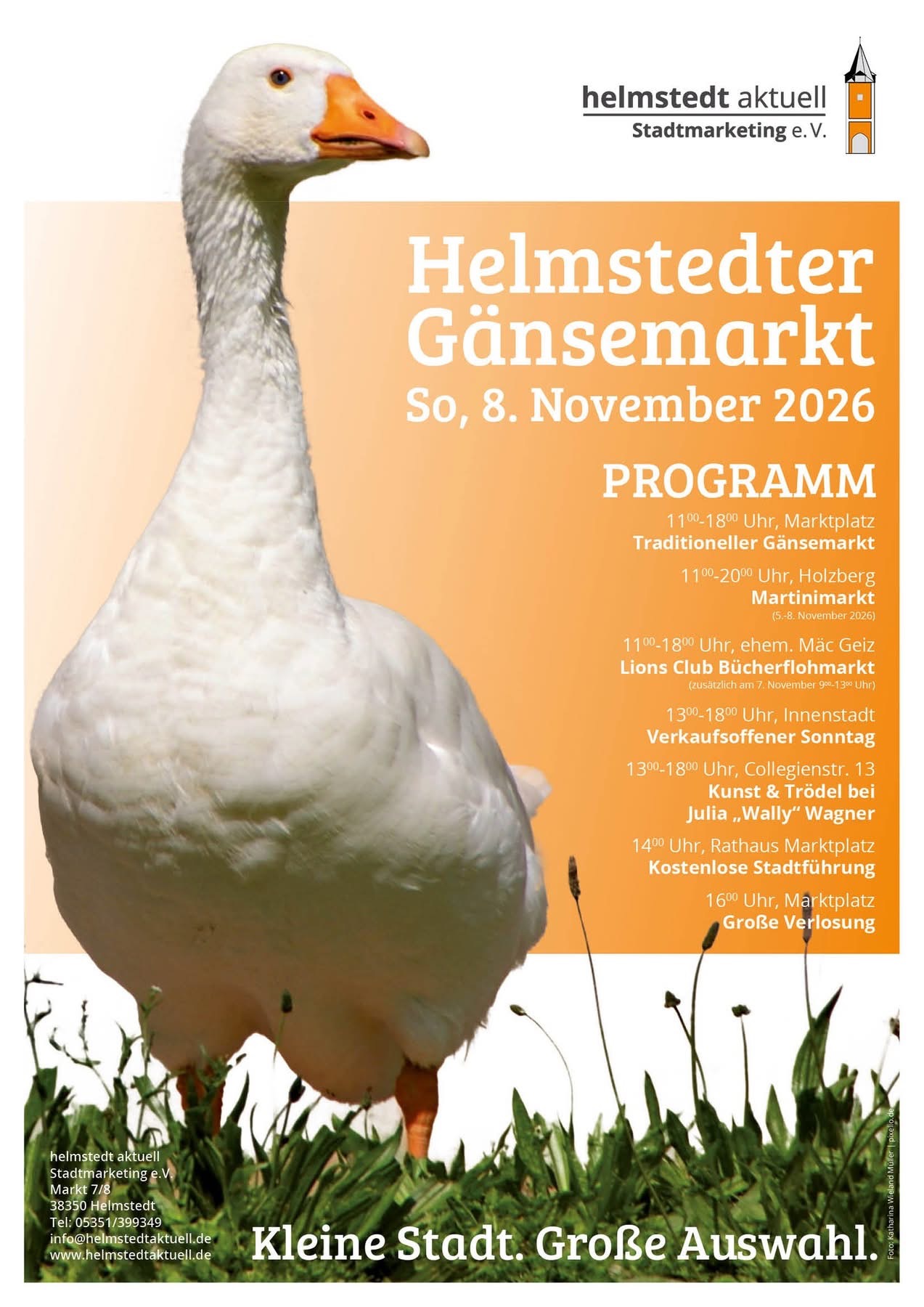 Helmstedter Gänsemarkt